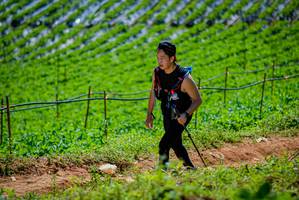 BIB: 
                            <button type="button" onclick="openModal(19164621)" class="btn btn-primary btn-sm float-right btn-popup" data-toggle="modal" data-target=".modal-high-quality">
                        <i class="fas fa-shopping-cart"></i> Add to Cart
                    </button>
                                            <button type="button" onclick="isThisMe(19164621, true)" class="btn btn-success btn-sm float-right btn-popup btn-isme hidden" data-toggle="tooltip" data-placement="bottom" title="นี่คือรูปของคุณใช่ไหม คลิกที่นี่เพื่อเอาเข้าอัลบั้ม">
                        <i class="fas fa-plus"></i> Add to album
                    </button>
                    <button type="button" onclick="isThisMe(19164621, false)" class="btn btn-warning btn-sm float-right btn-popup btn-isnotme hidden">
                        <i class="fas fa-ban"></i> Remove from album
                    </button>